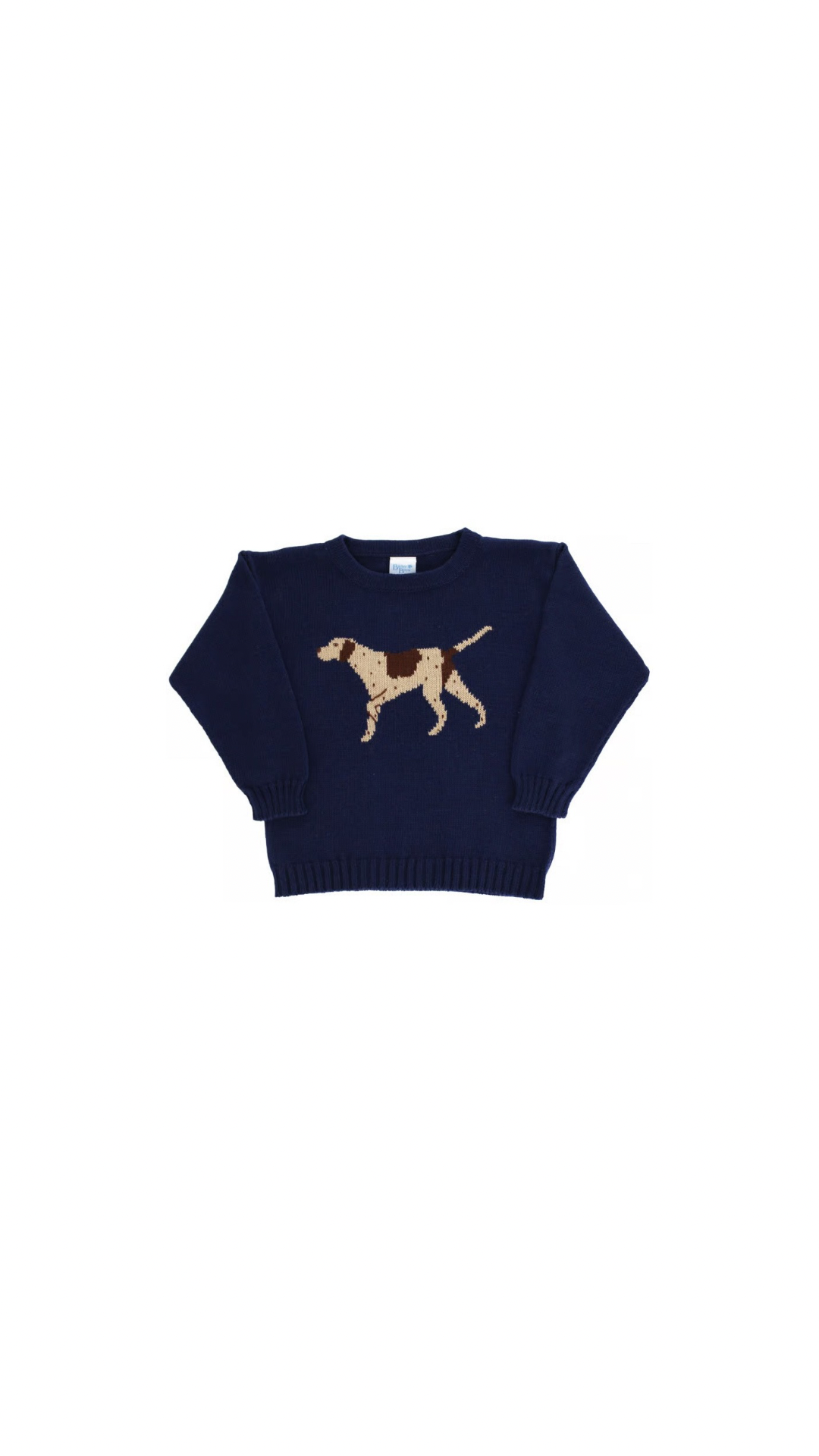 Crewneck Sweater Pointer On Navy