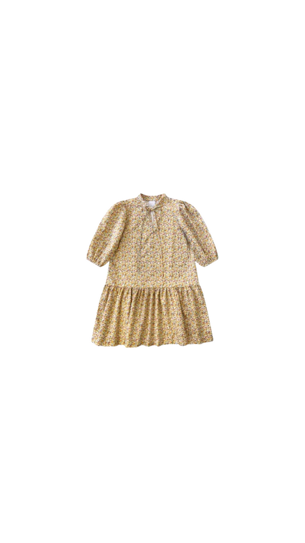 Sophia Dress - Autumn Blooming