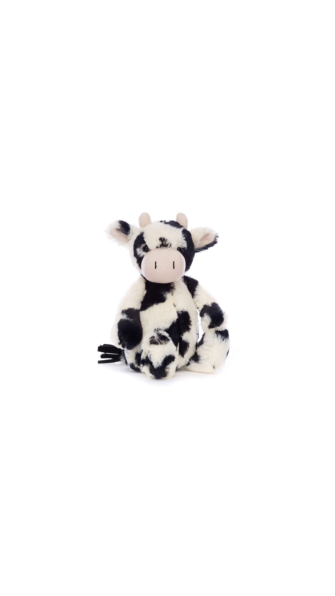 Bashful Calf