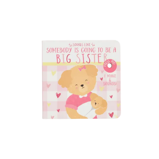 Sounds Like Big Sister Book