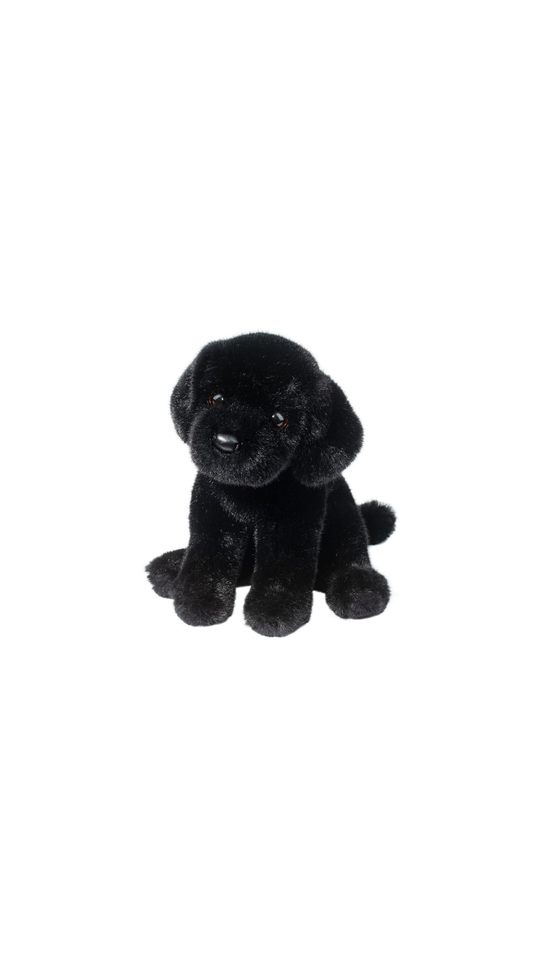 Ford Black Lab
