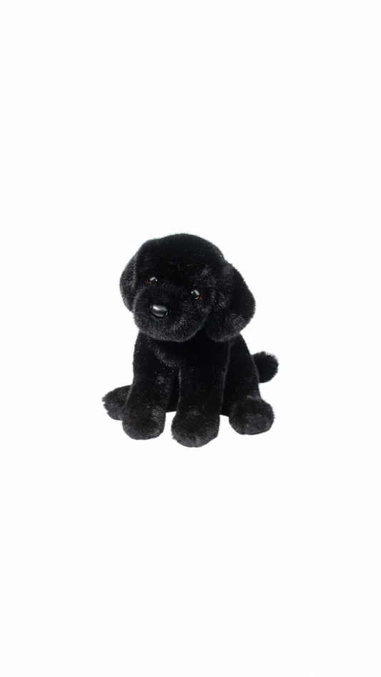 Ford Black Lab