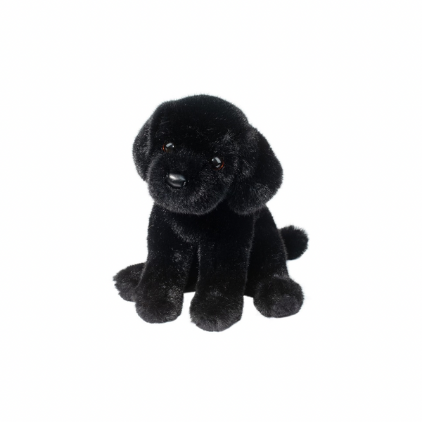 Ford Black Lab