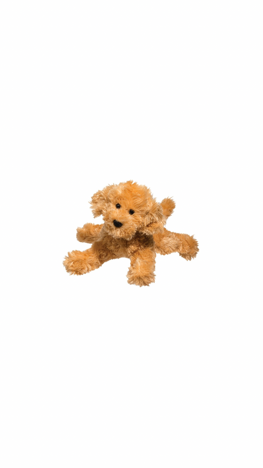 Molassess Caramel Labradoodle