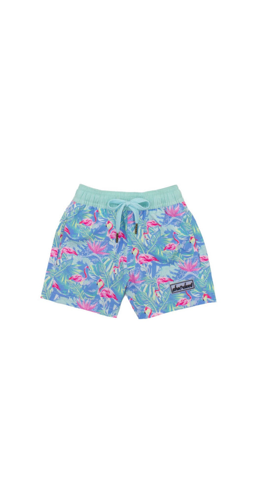 Boys Shordees Swim Floral Flamingo