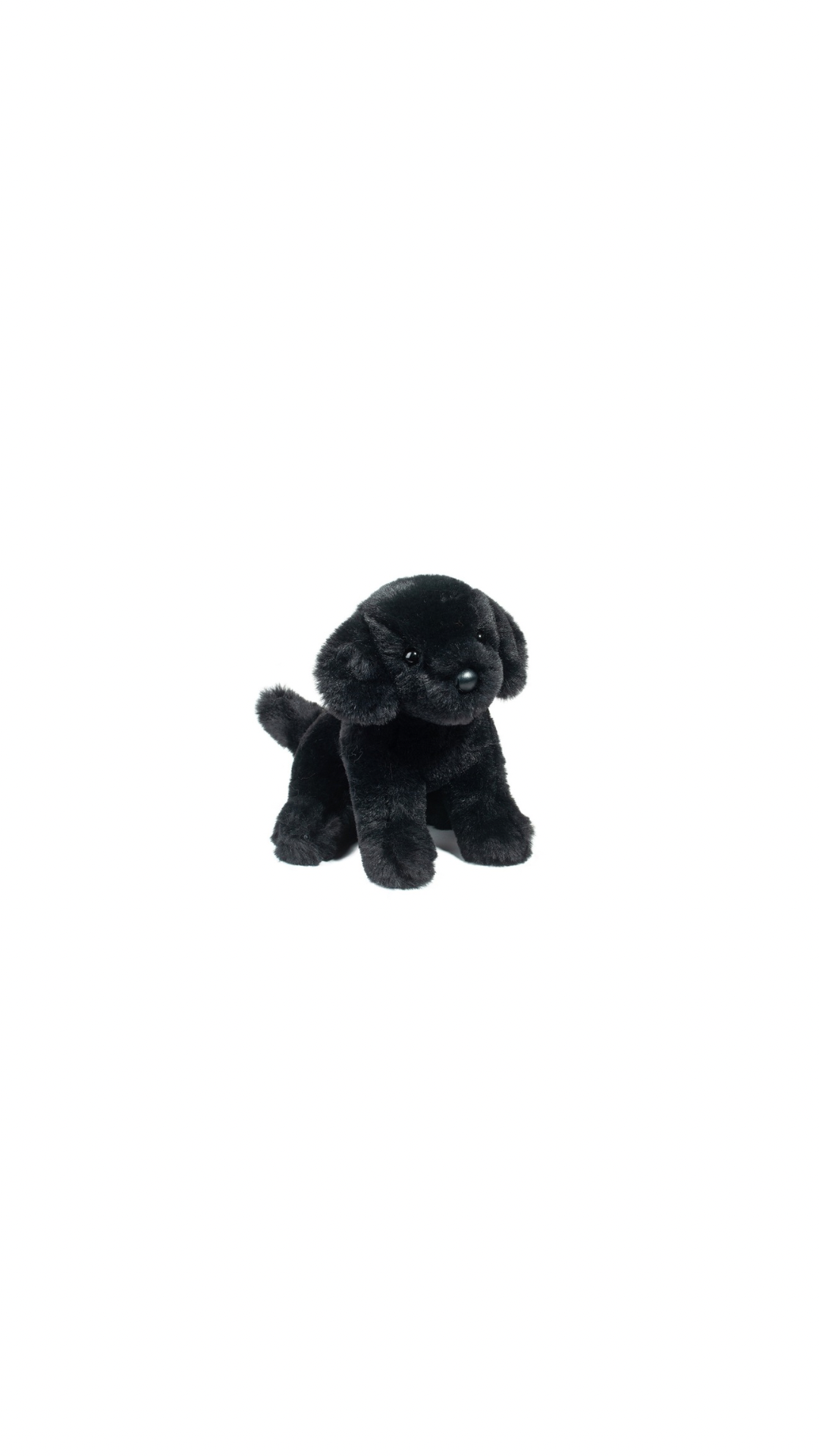 Mini Hattie Black Lab