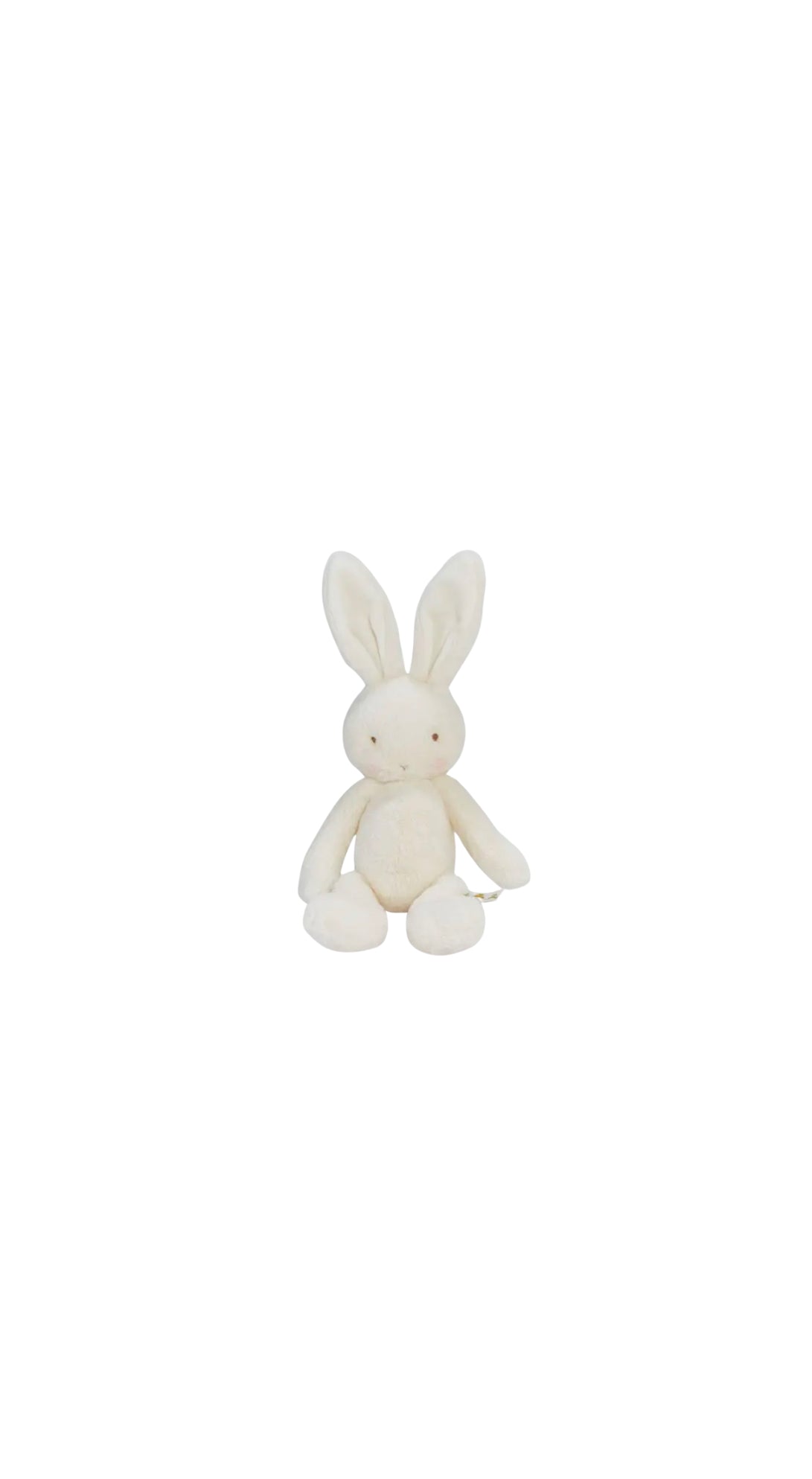 Bun Bun Bunny