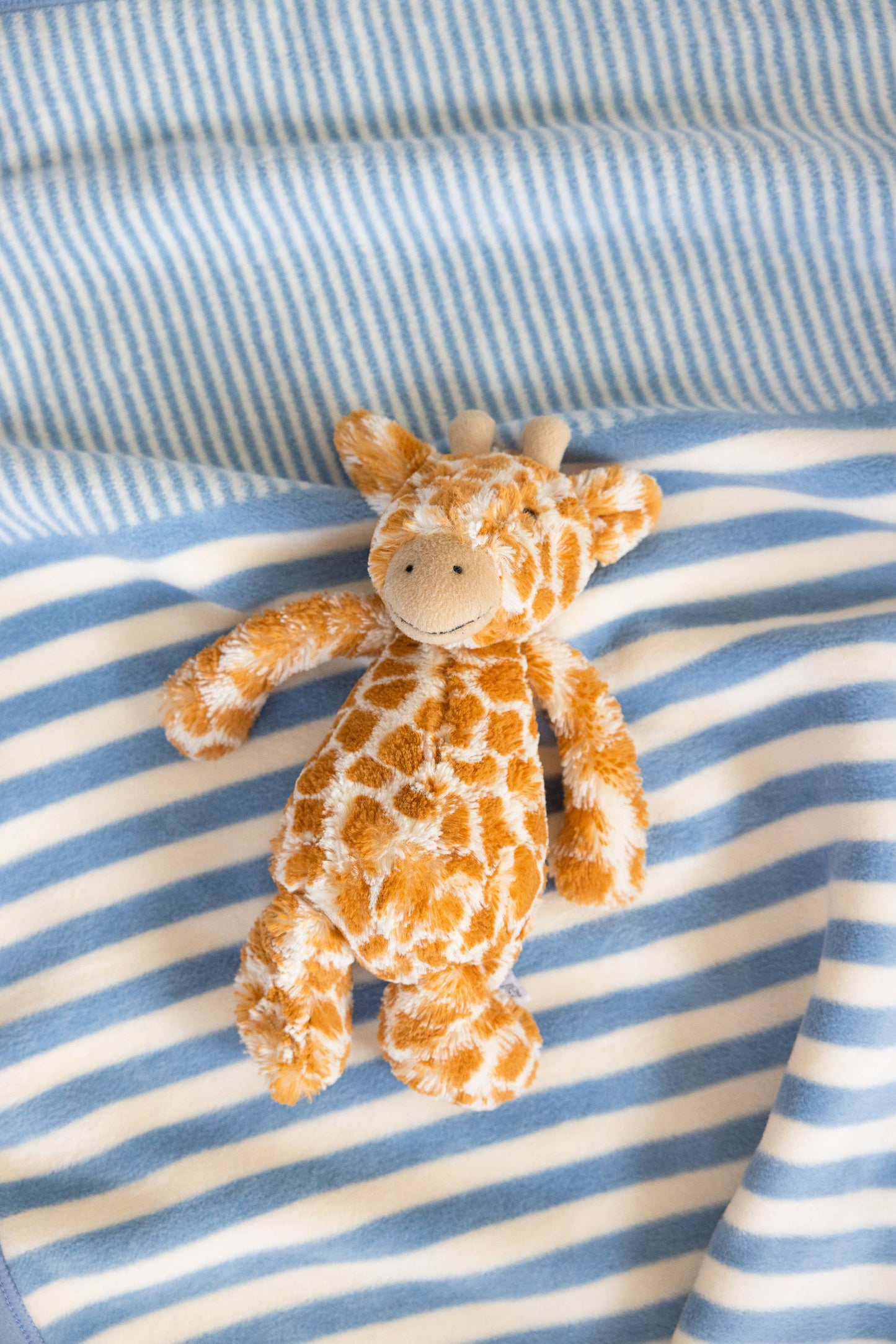 Sweet Pea Stripe Fog Mini Blanket