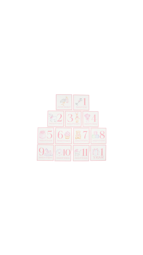 Sir Proper's Month Markers Palm Beach Pink