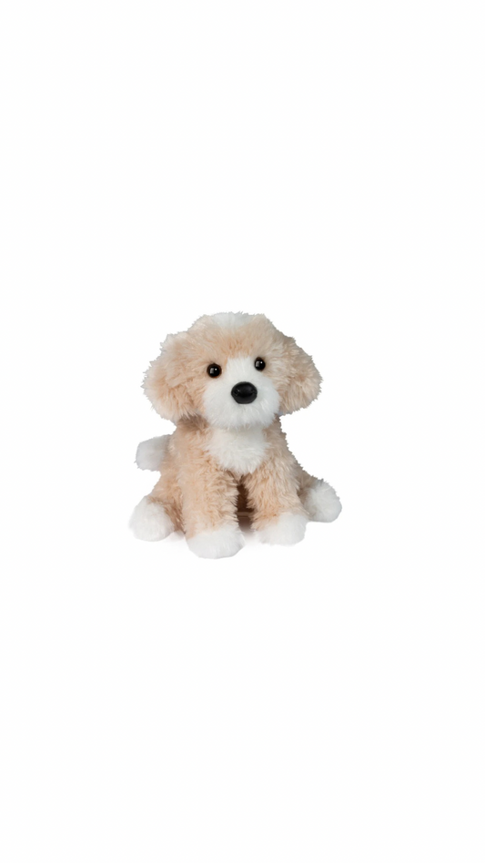 Darcy Golden Doodle