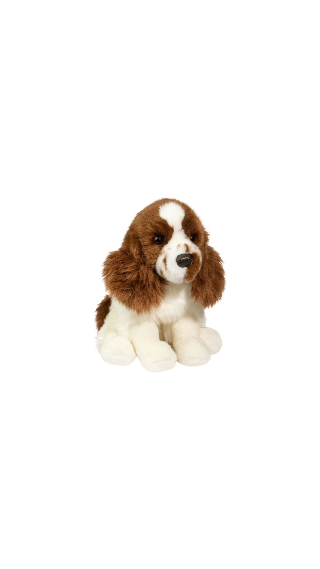 Chip Springer Spaniel