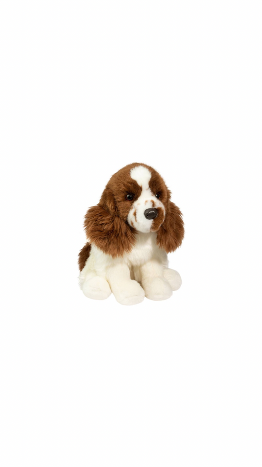 Chip Springer Spaniel