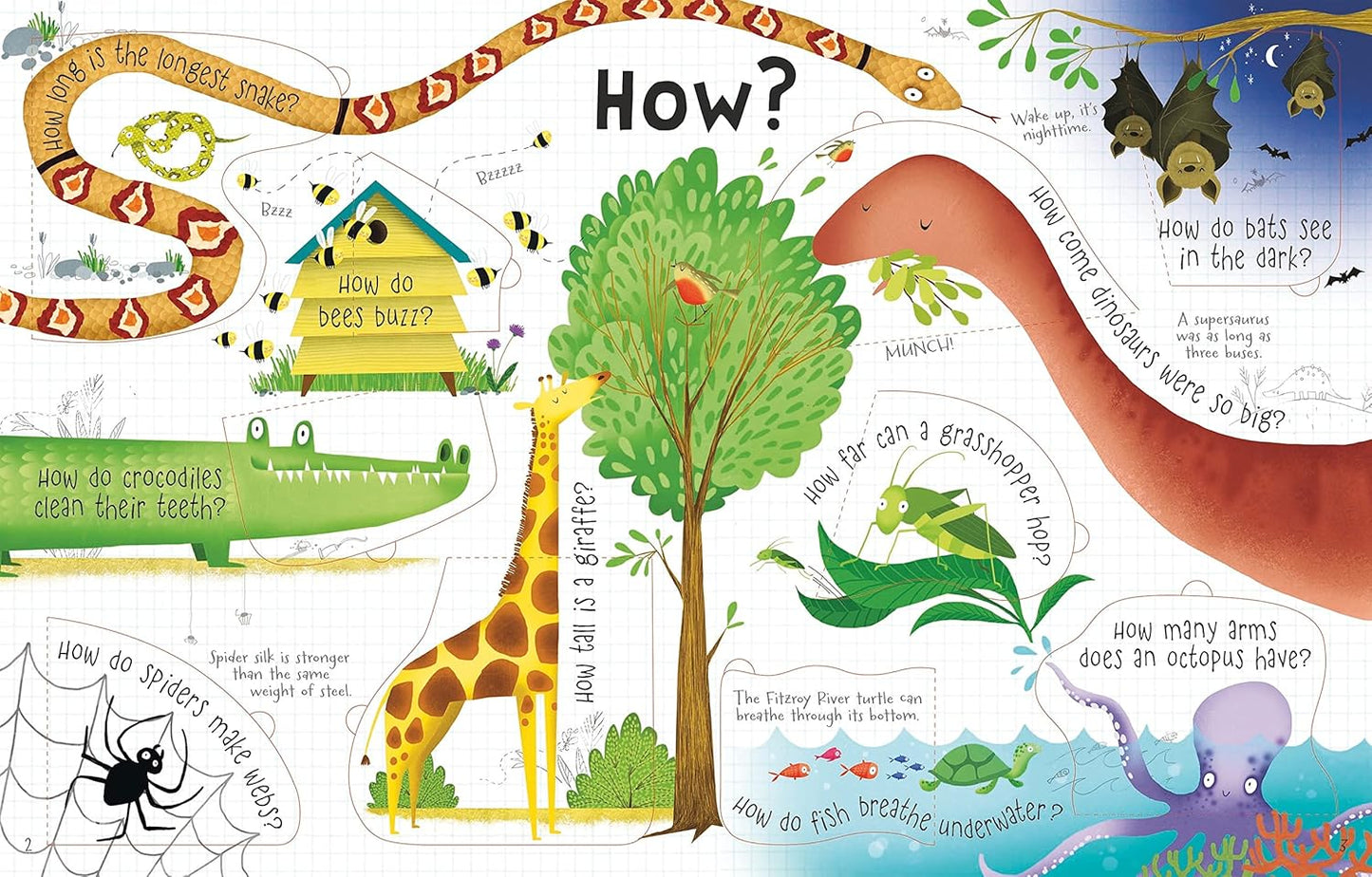 Lift-the-Flap Questions and Answers Animals