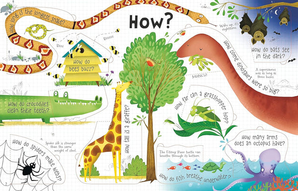 Lift-the-Flap Questions and Answers Animals