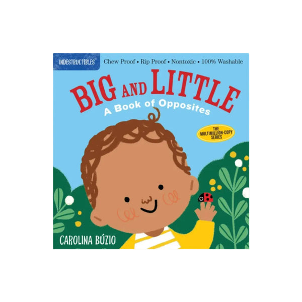 Indestructibles: Big and Little: A Book of Opposites