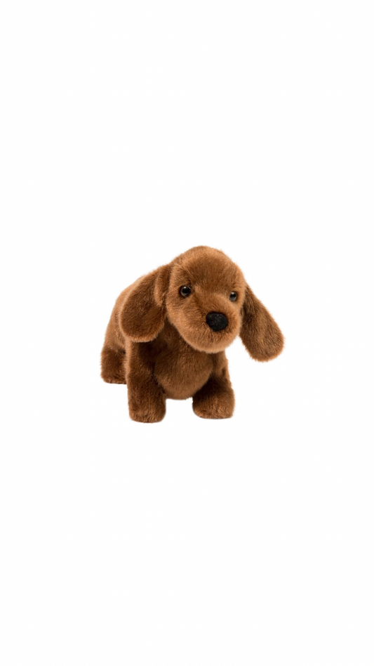Dilly Dachshund