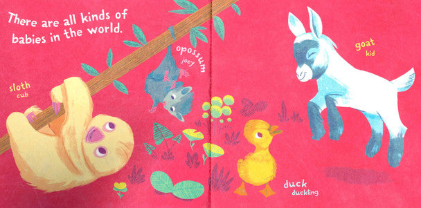 Indestructibles: Baby Animals