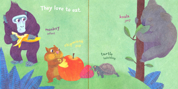 Indestructibles: Baby Animals