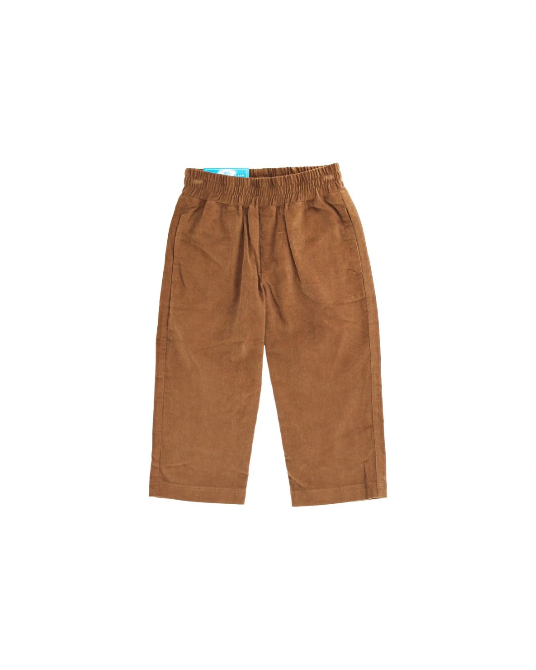 Charlie Pull On Brown Cord Pants