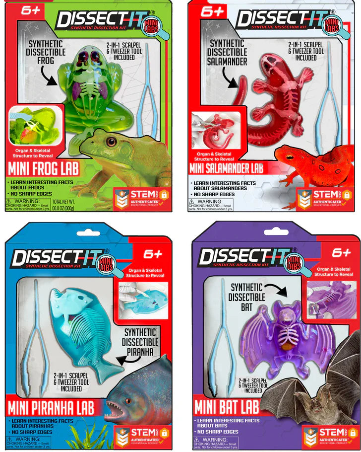 Dissect - It Mini Labs Assortment