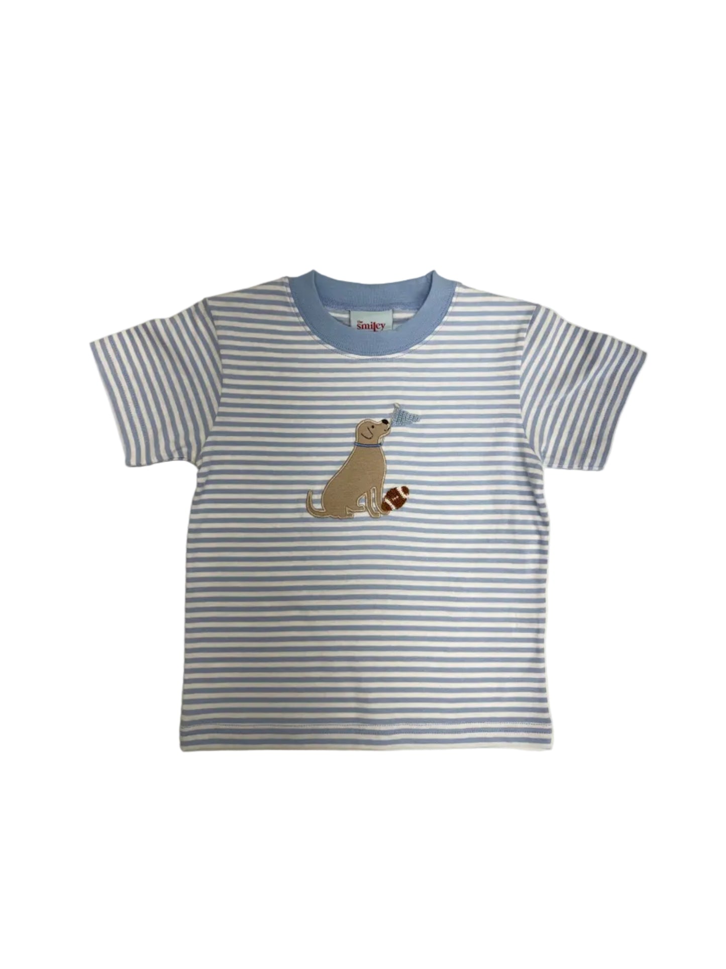 Dog with Football Shirt, Blue Stripe