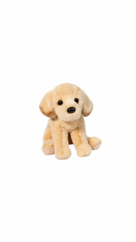 Ace Yellow Lab