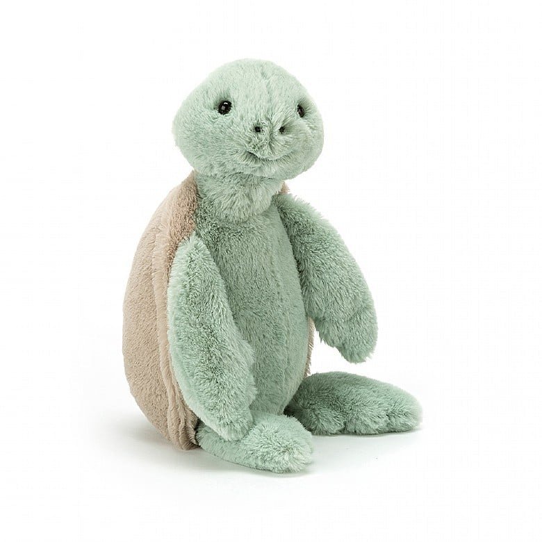 Bashful Turtle Orginal Medium