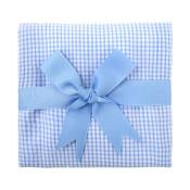 Small Check Fabric Burp Blue