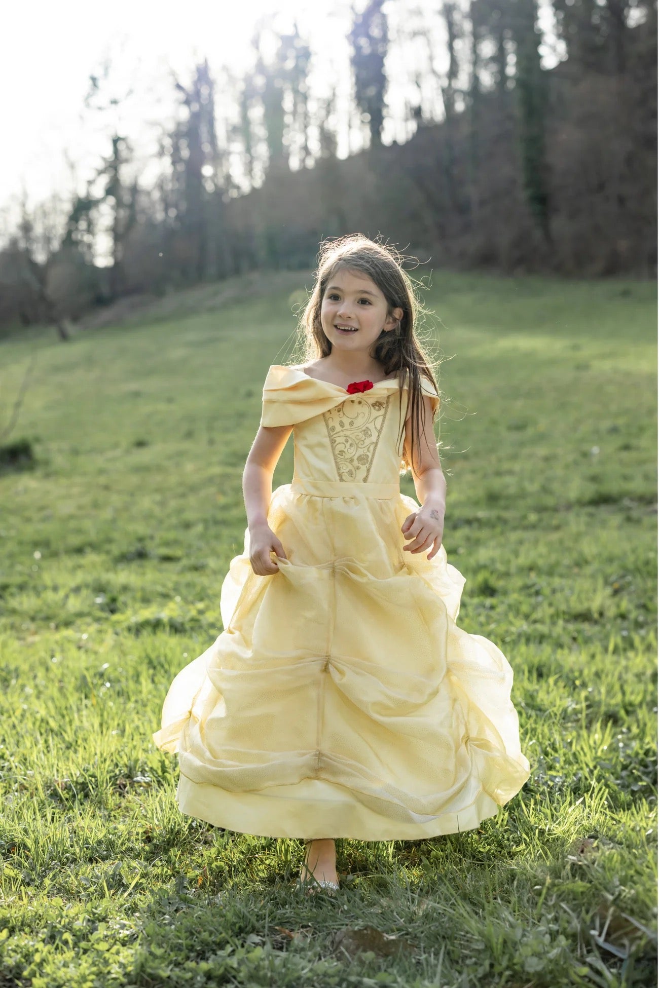 Once Upon a Princess Beauty Dress