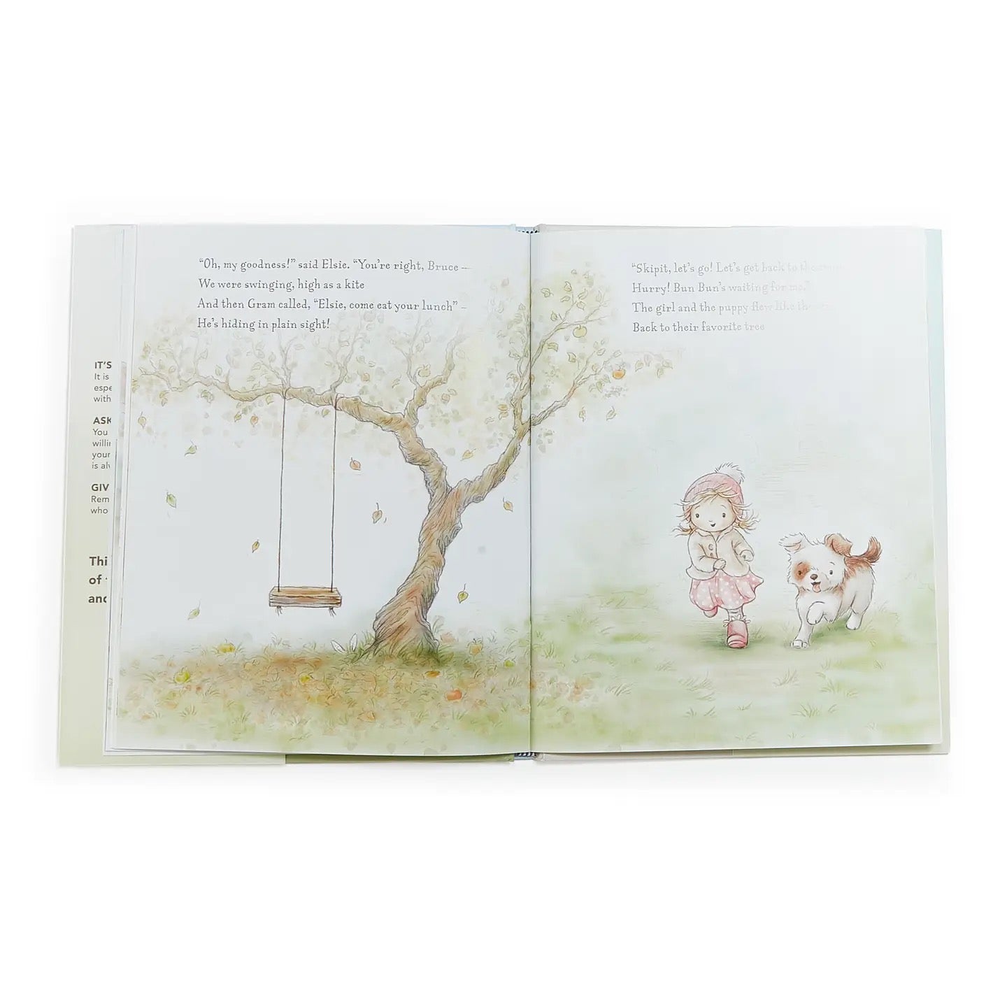 Bun Bun A Lovey Story Book
