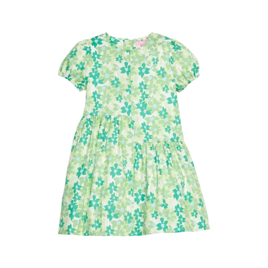 Phillipa Dress-Greenspring Groovy Floral