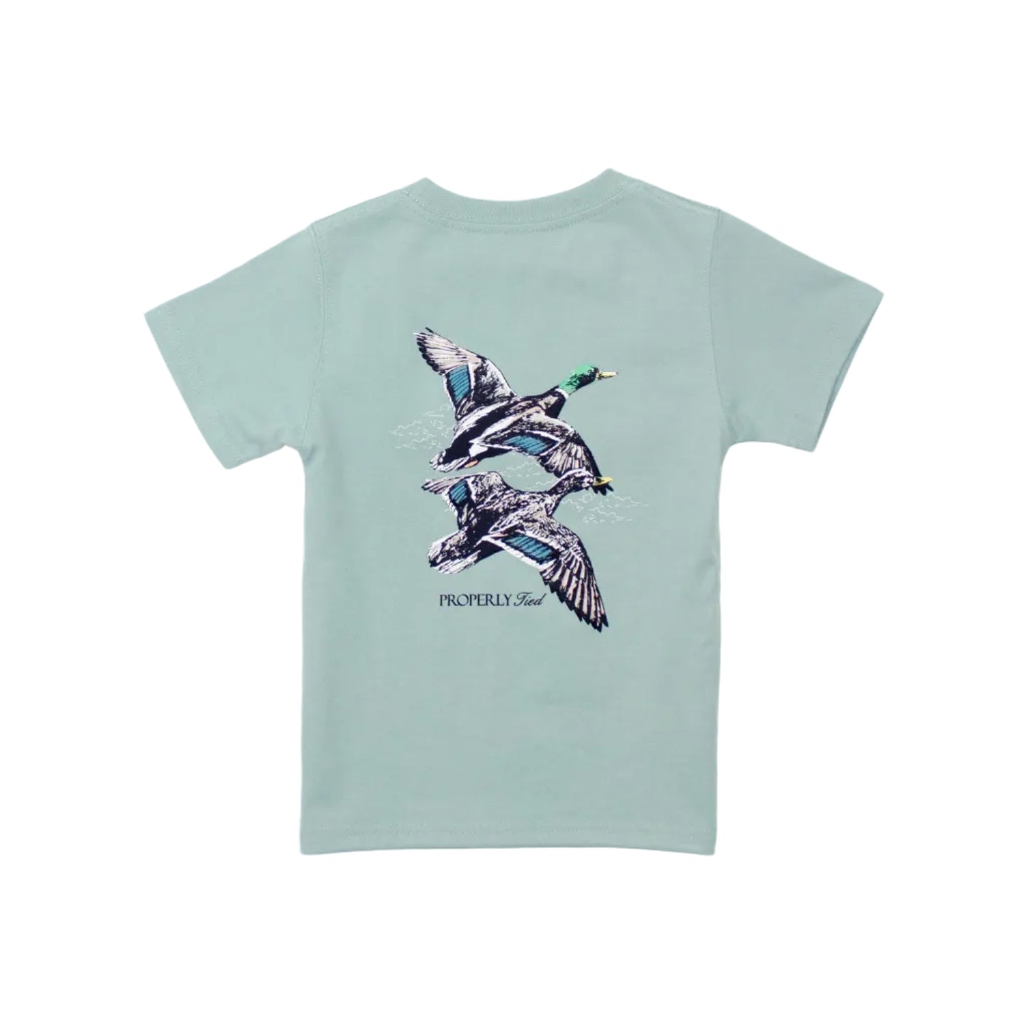 Boys Migration- Marine Mist