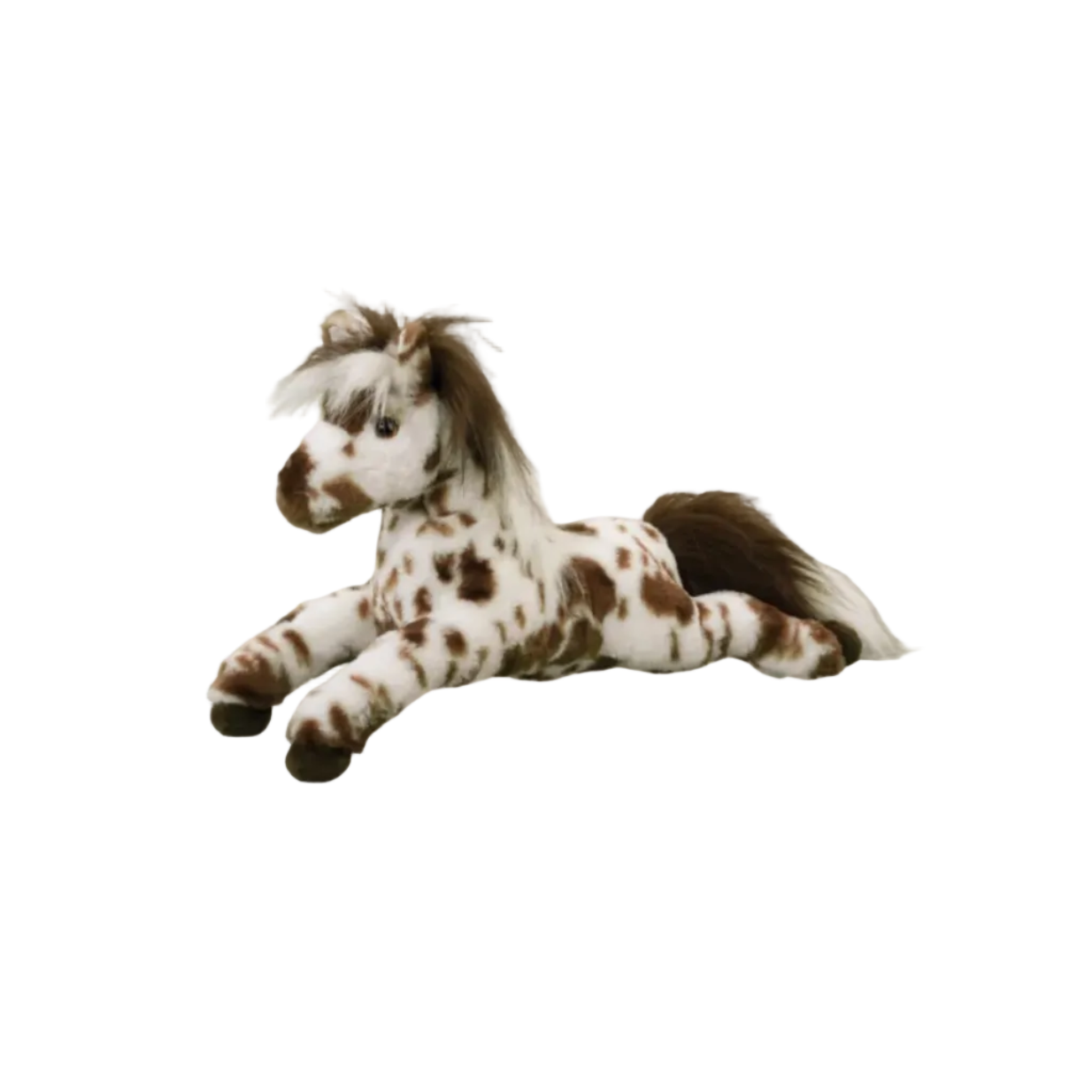 Duke Appaloosa Horse