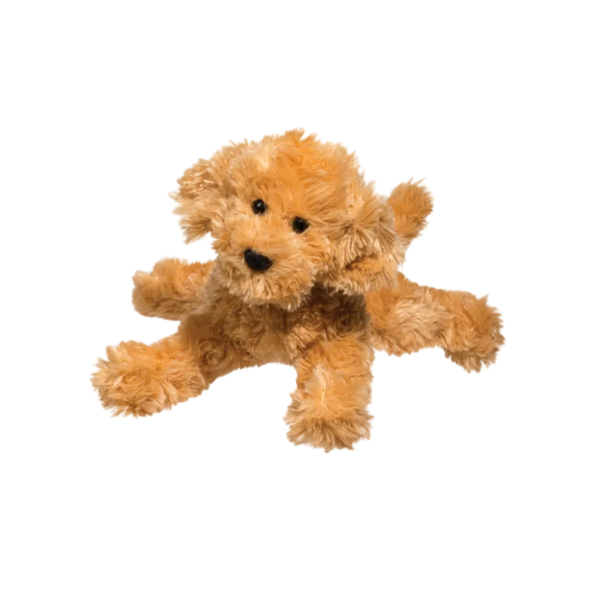 Molasses Labradoodle