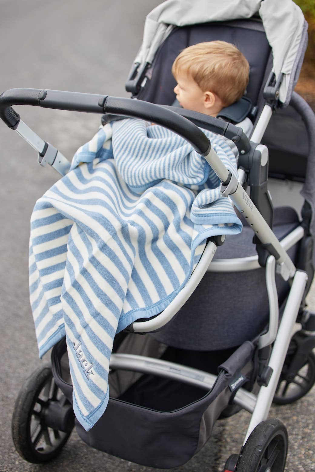 Sweet Pea Stripe Fog Mini Blanket
