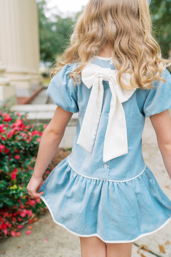 Harper Dress- Beaufort Blue Velvet, Winter White Velvet