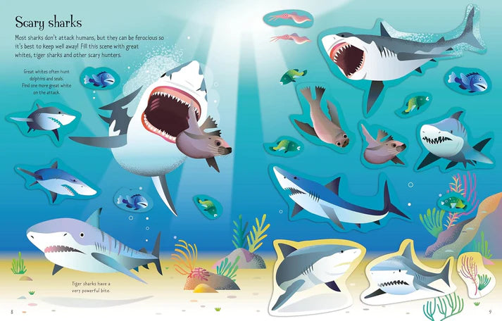 First Sticker Book Sharks and Rays