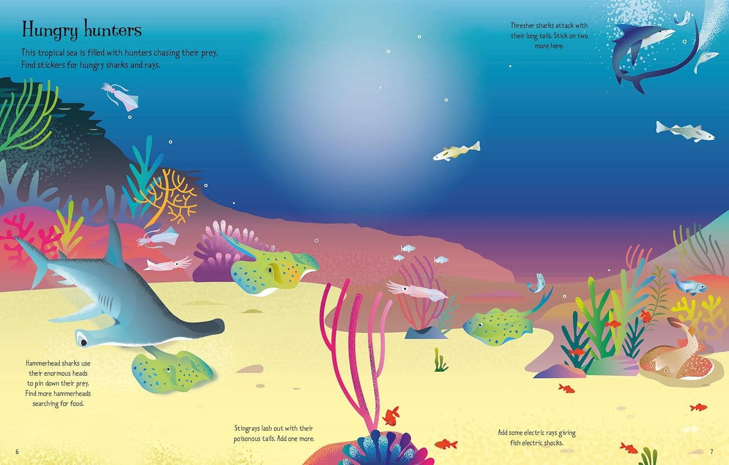 First Sticker Book Sharks and Rays